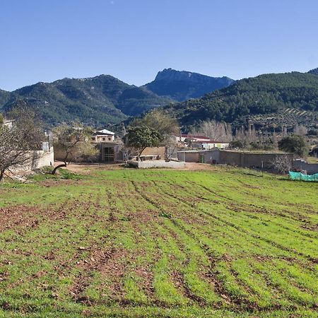 Casa Rural Chache Casto Bienservida Ngoại thất bức ảnh